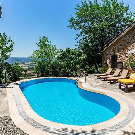 Terra Villalari *