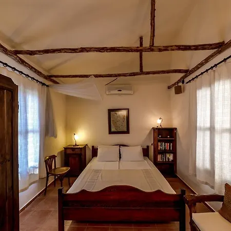 Terra Villalari *