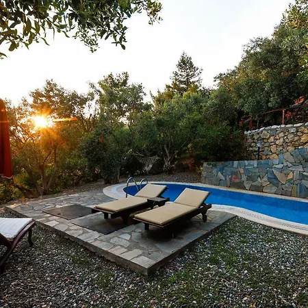 Terra Villalari