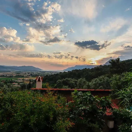Terra Villalari