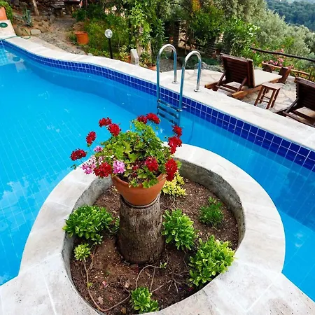Villa Terra Villalari