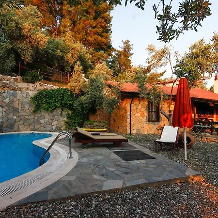 Terra Villalari *